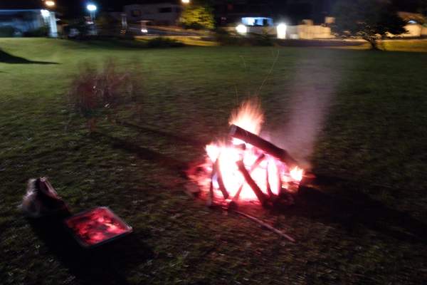 Paul's camp fire, logs from the felled durian tree