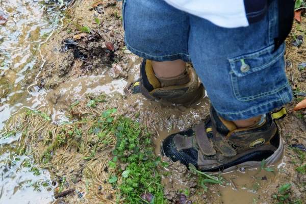 David in the mud