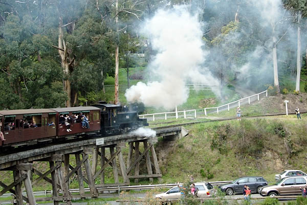 Puffing Billy rushing over the wooden bridge