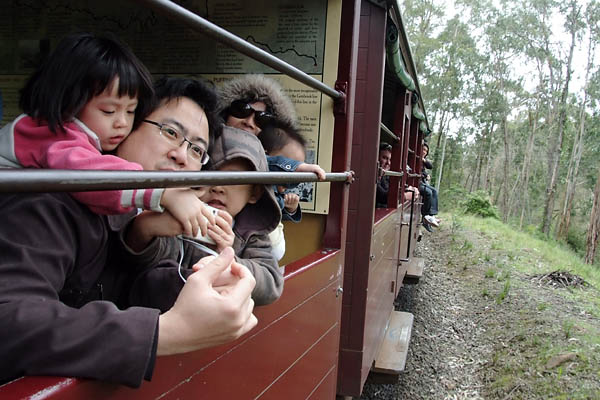 The Ngs on Puffing Billy