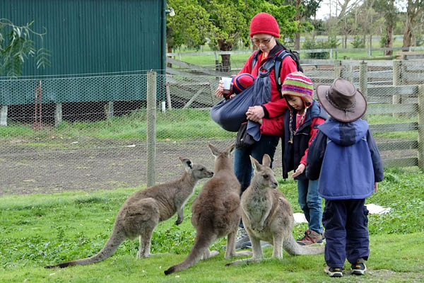 Warrook Cattle Farm