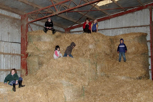 Children on the hay stack