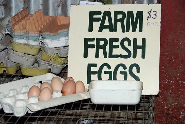 Fresh farm eggs, we took nine and paid $2