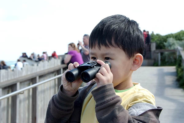 That's Nate whale-watching