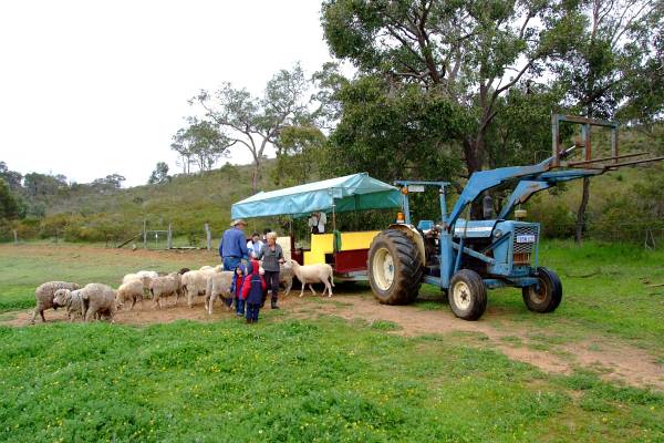 Tractor up the hill