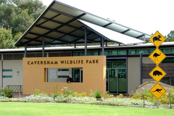 Caversham Wildlife Park