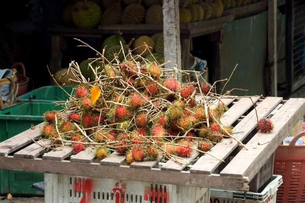 Rambutans