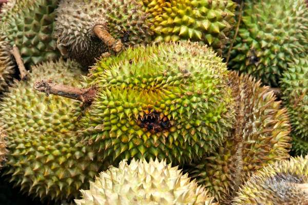 Durians